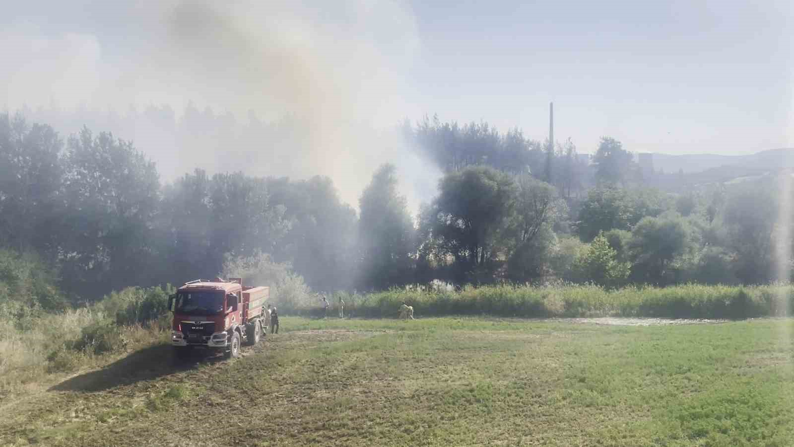 Çevresel ve Ekonomik Etkiler