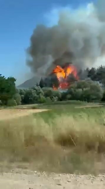 Yetkililerin ve İlgili Birimlerin Açıklamaları