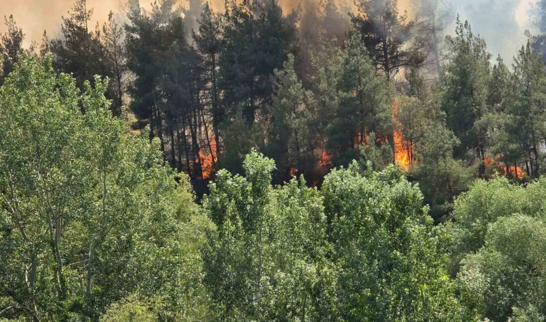 Orhaneli'nde çıkan orman yangınıyla ilgili gelişmeler, çalışmalar ve detaylar hakkında