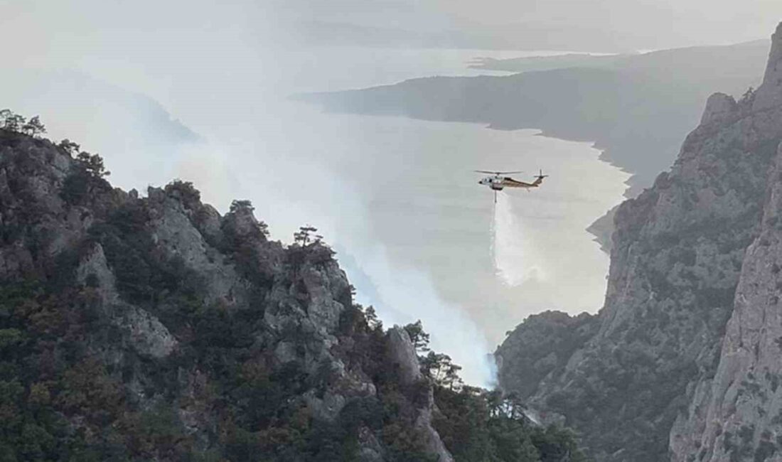 Orman yangınlarını önlemek için alınan geçici yasaklar ve önlemler hakkında