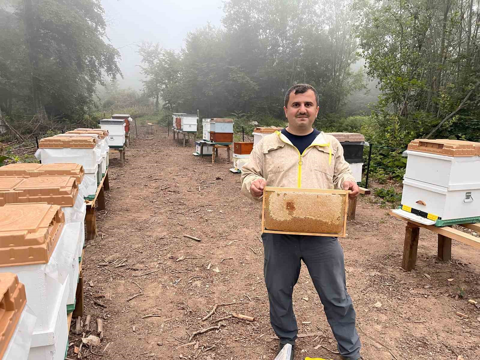 Deneyimli Arıcı Sait Ekeroğlu ve Bal Üretimi