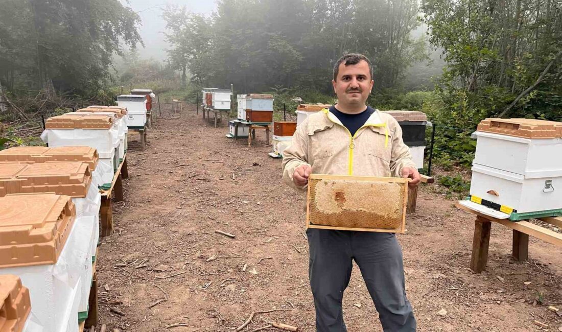 Ormangülü balının doğal üretim süreci ve şifa potansiyeli hakkında detaylı