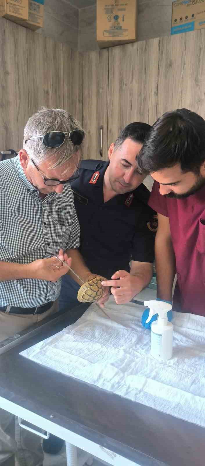 Bu Davranışın Önemi ve Toplumsal Yansımaları