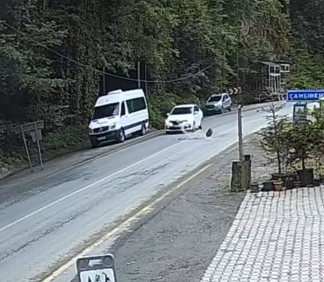 Rize’de Yamaçtan Kopan Kaya Otomobilin Önüne Düştü: Güvenlik Kameralarına Yansıyan Anlar