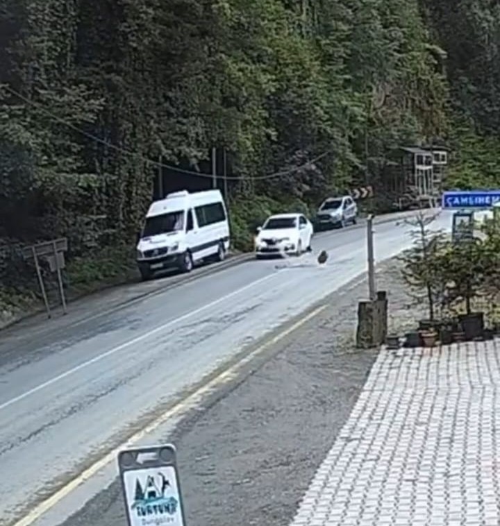 Rize’de Yamaçtan Kopan Kaya Otomobilin Önüne Düştü: Güvenlik Kameralarına Yansıyan Anlar