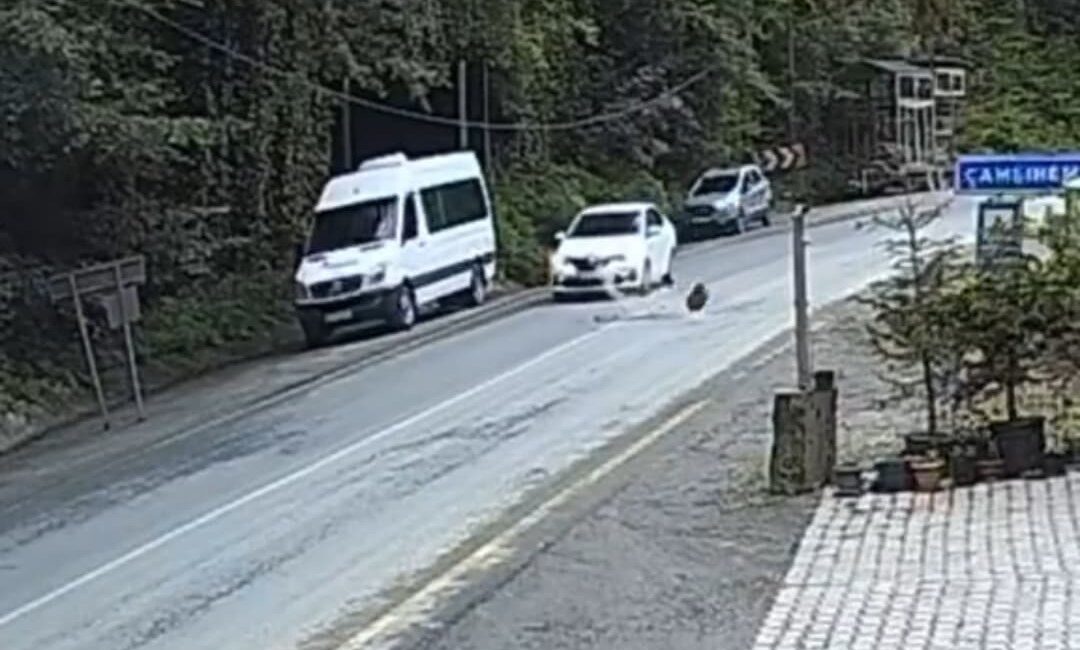 Rize’de yamaçtan kopan kaya otomobilin önüne düştü. Güvenlik kameralarına yansıyan