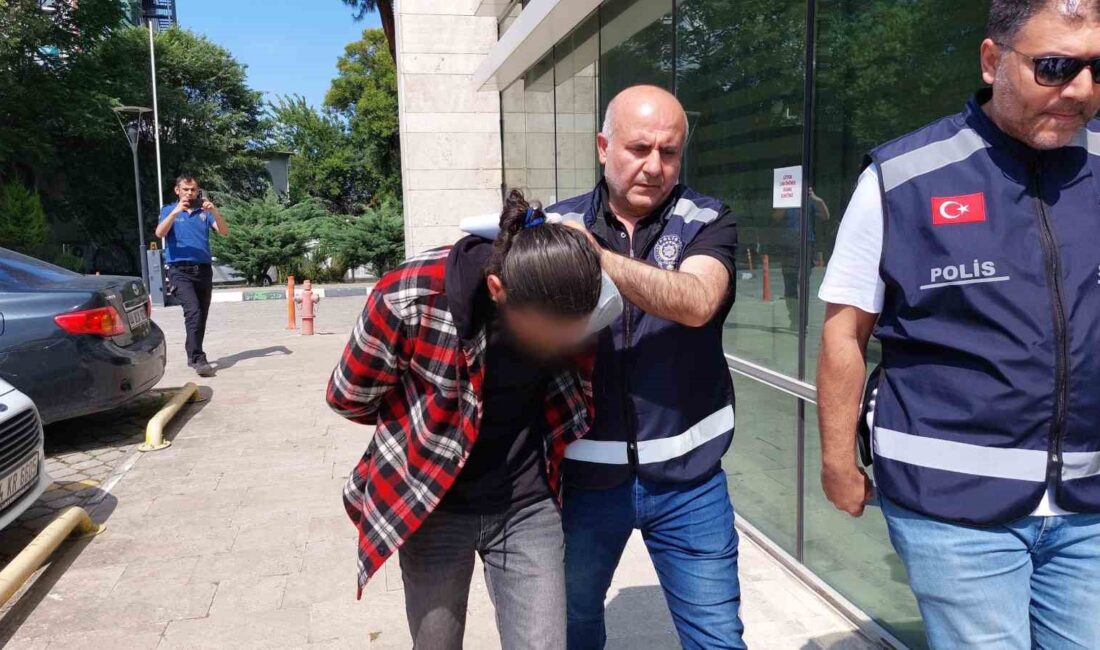 Samsun'da kadına yönelik şiddet olayları ve etkileri hakkında detaylı bilgi.