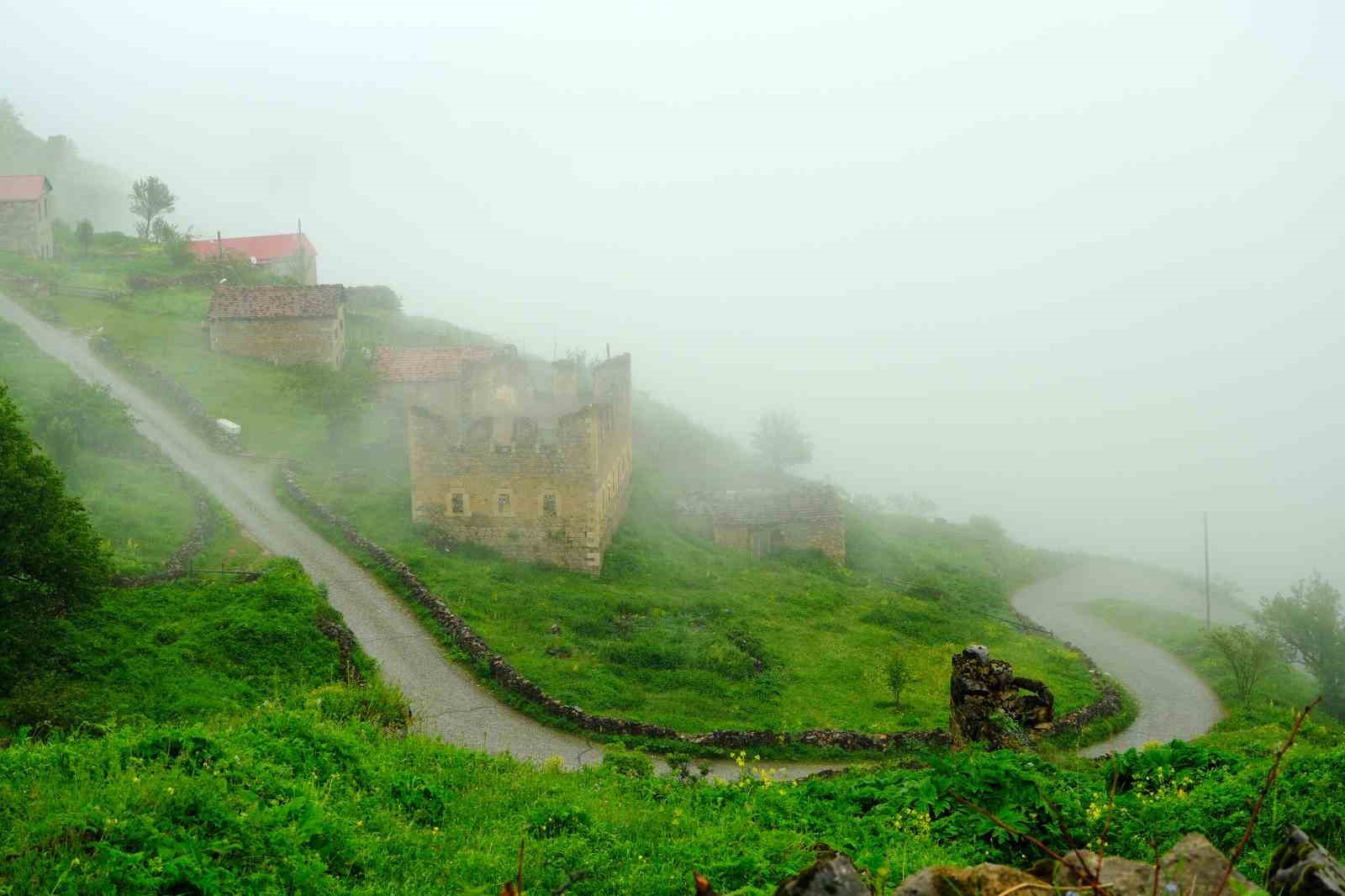 Yürüyüş ve Gözlemler