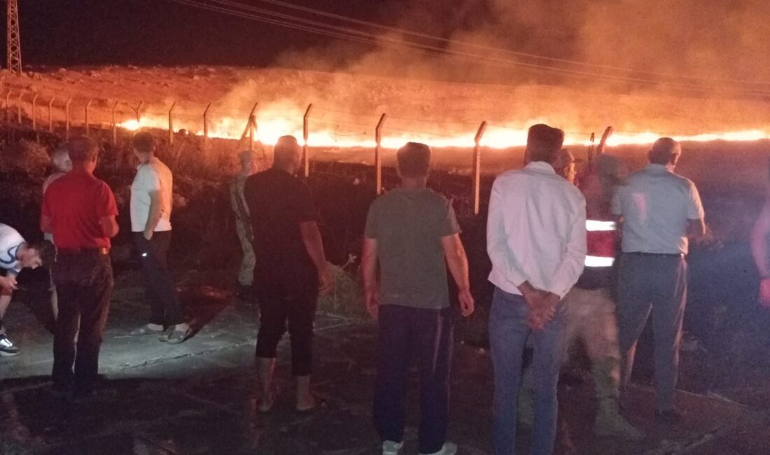 Siirt'te tarım arazisi ve hayvanlar, yangın sonrası son anda kurtarıldı.