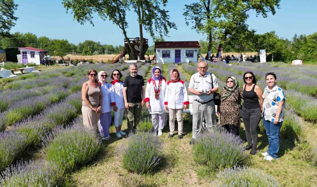 Sinop Erfelek'te lavanta bahçesinde gerçekleşen gastronomi ve kadın girişimciliği etkinliğiyle