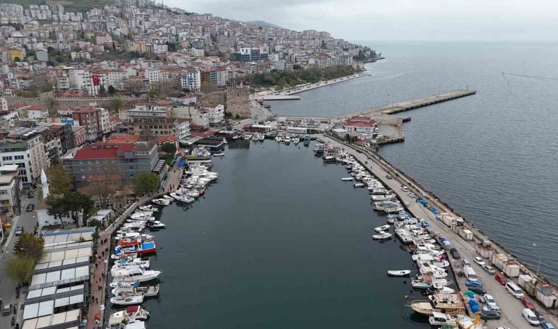 Sinop'ta Mayıs 2025 trafik ve araç verileri, güncel analizler ve