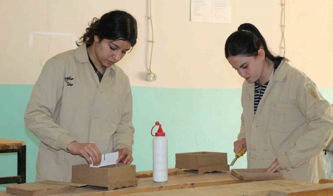 Şırnaklı genç kızlar, mobilya sektöründe erkek egemenliğine rağmen kendilerini gösterip