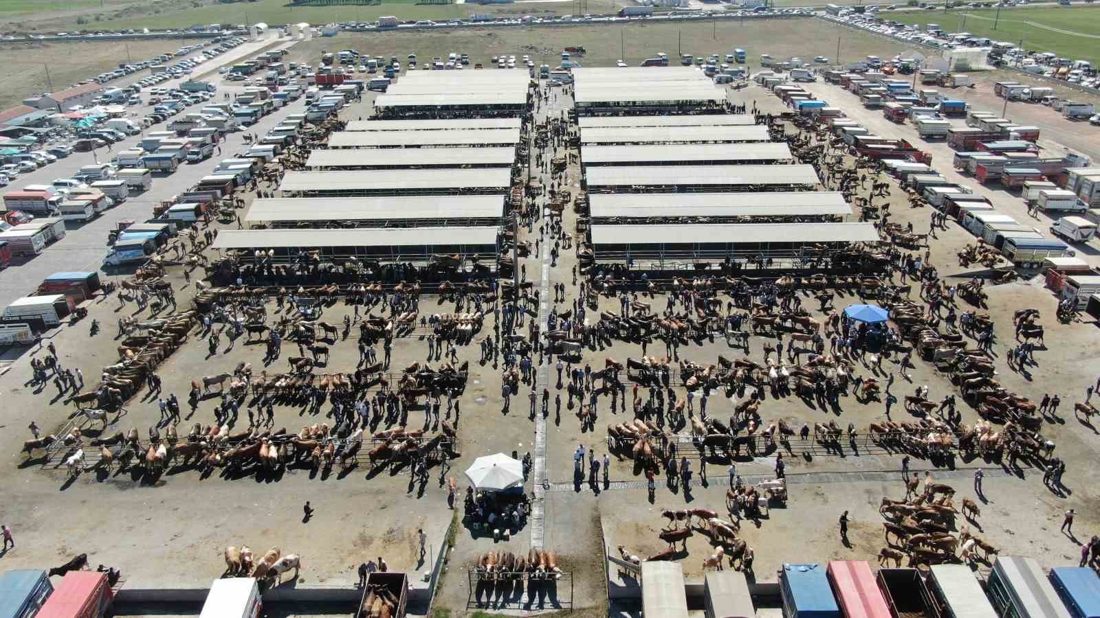 Alınan Tedbirler ve Uygulama Süreci