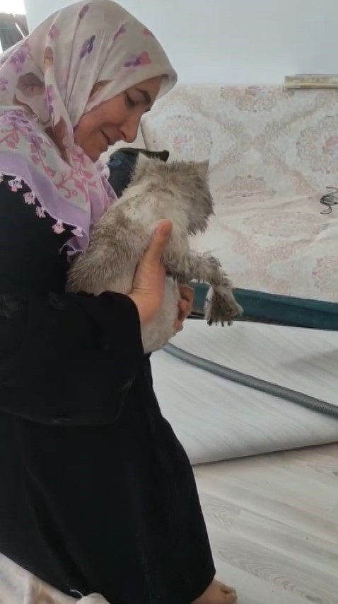 Sivas’ta Apartmanda Mahsur Kalan Kedi Kurtarıldı