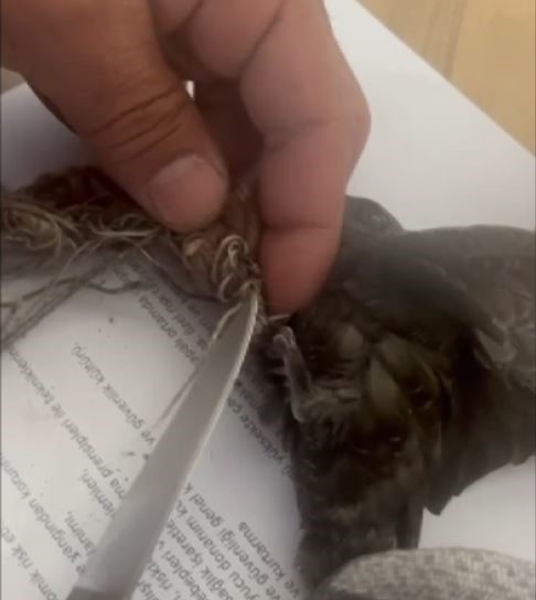 Sonuç ve Toplumun Duyarlılığı