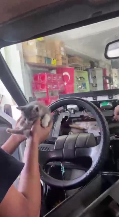 Suluova’da Yavru Kedi Otomobilin Gösterge Paneline Girerek Mahsur Kaldı