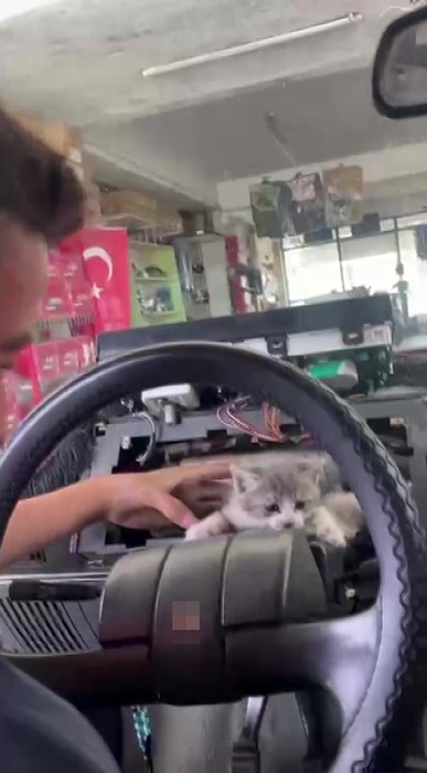 Ustaların ve Vatandaşların Gösterdiği Özveri