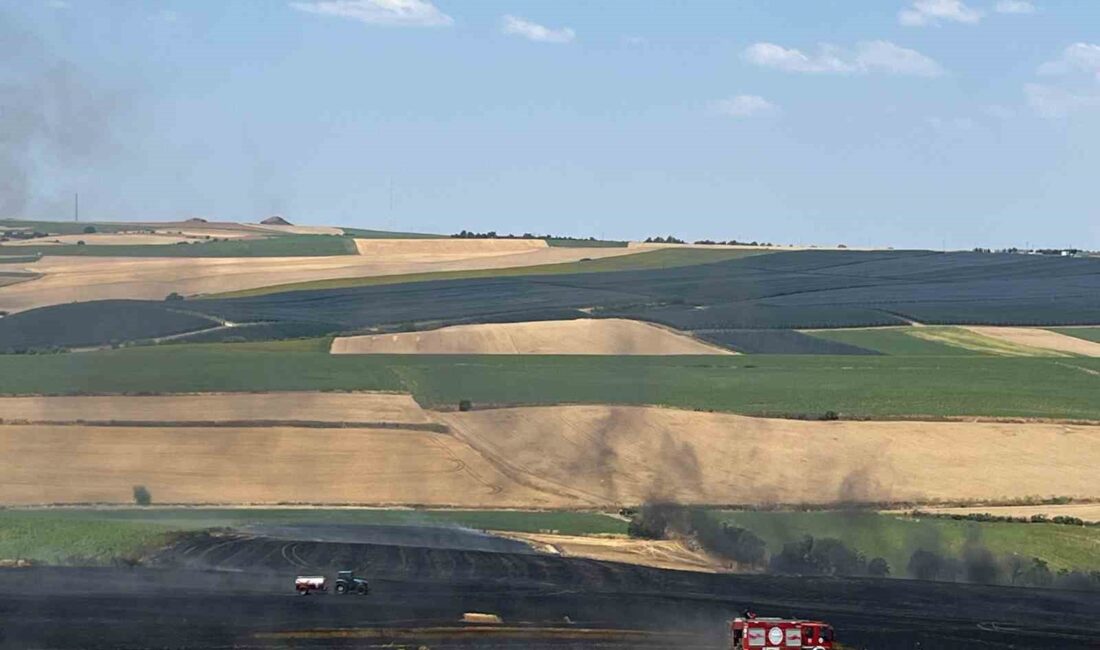 Tekirdağ Çorlu'da ekili tarla yangını haberleri, yangının sebepleri, etkileri ve