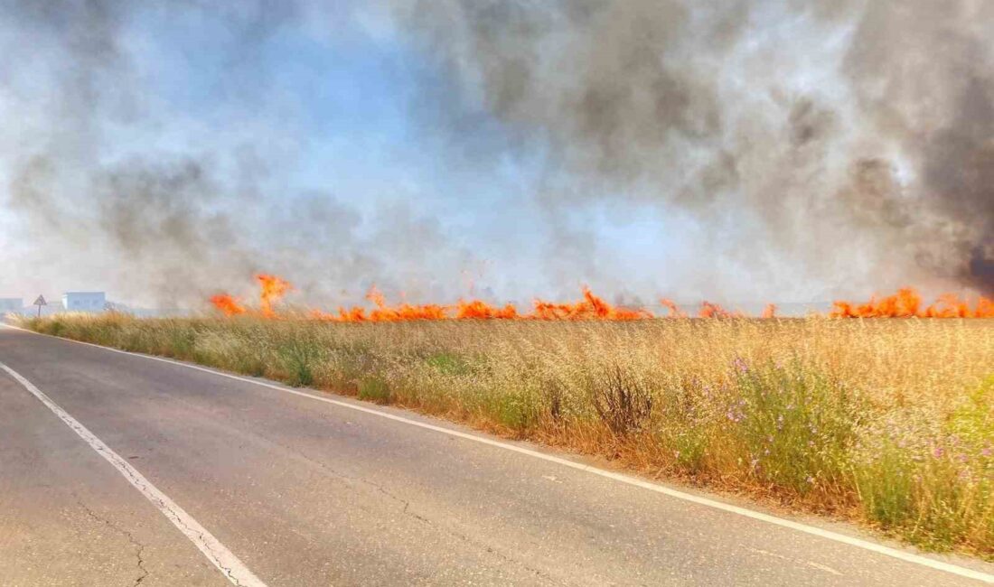 Tekirdağ'ın Ergene ve Saray ilçelerinde büyük tarla yangınıyla ilgili detaylar,
