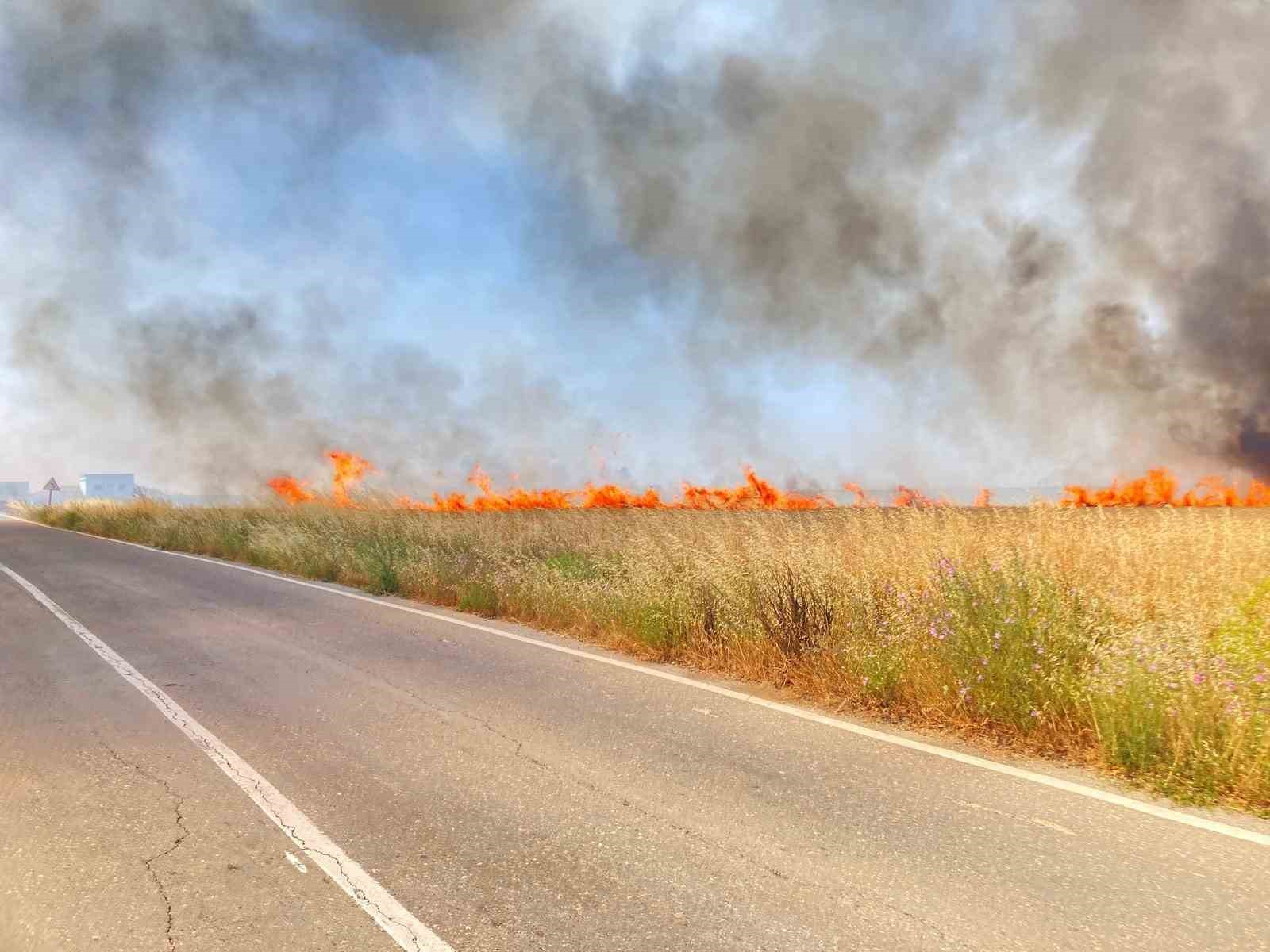 tekirdag ergene ve saray ilcelerinde buyuk tarla yangini EbcR7R8F