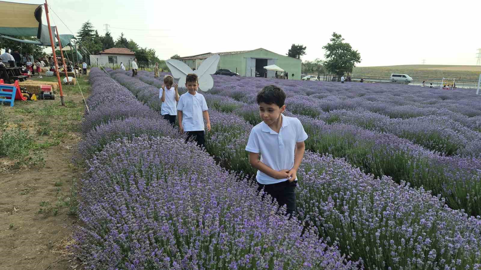 Lavanta Tarlasındaki Karne Sevinci
