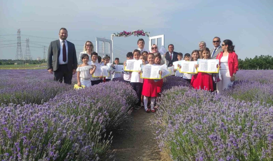 Tekirdağ’da karne heyecanı ve lavanta tarlasında unutulmaz bir gün sizi
