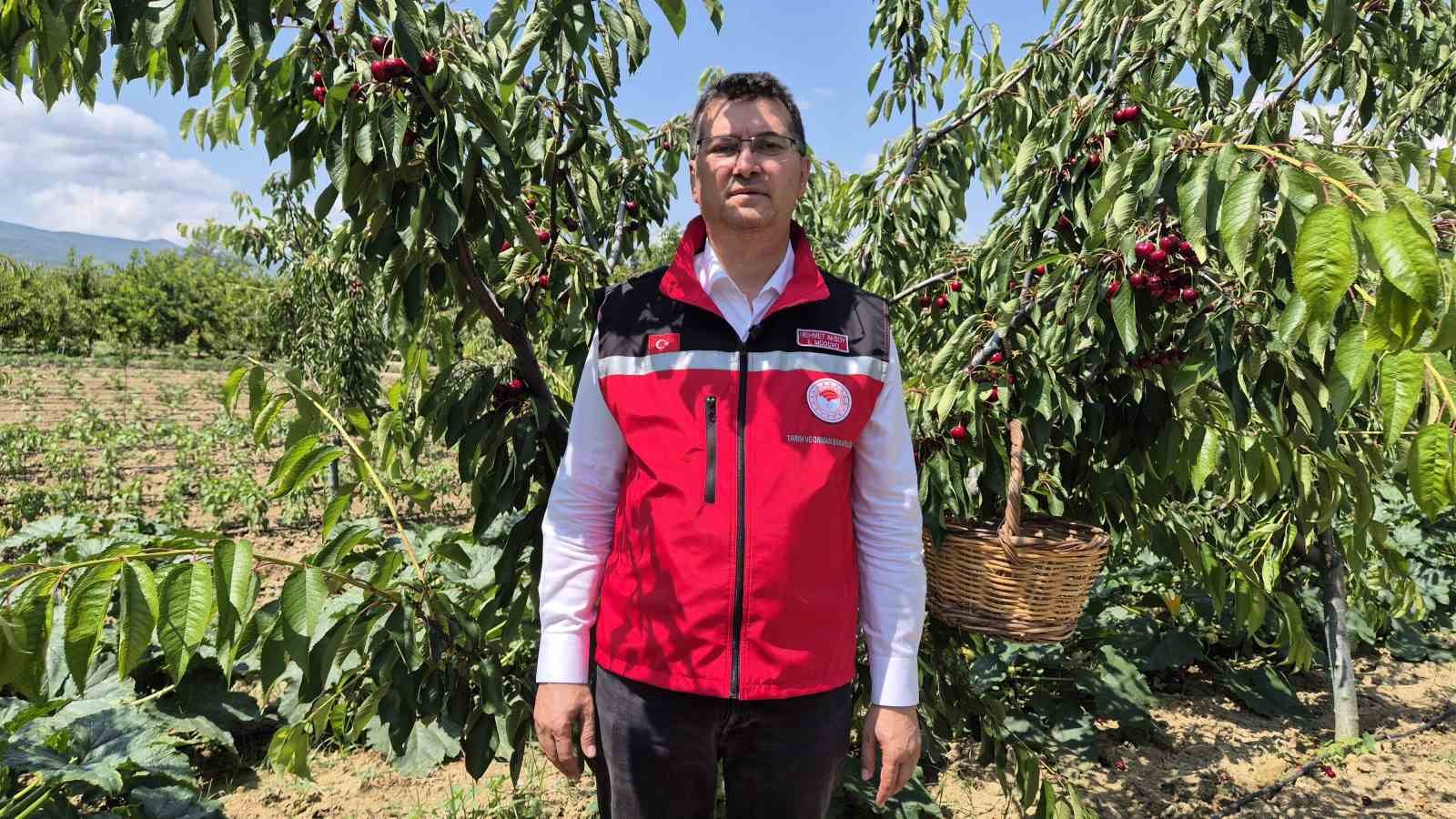 Fiyatlar ve Üretim Miktarları