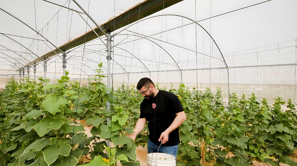 TİKA'nın Filistin'deki sürdürülebilir tarım projesiyle balık üretim çiftliği ve akuaponik