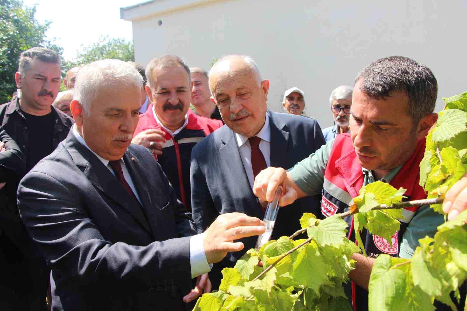 Samuray Arıları Salınım Töreni ve Çevre Koruma Çabaları