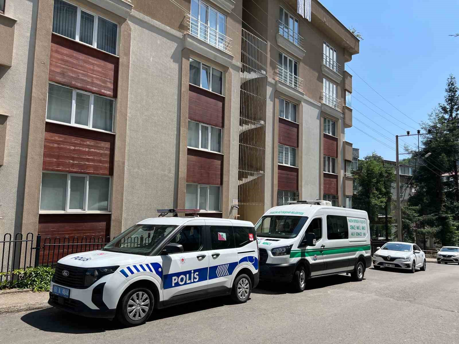 Giriş