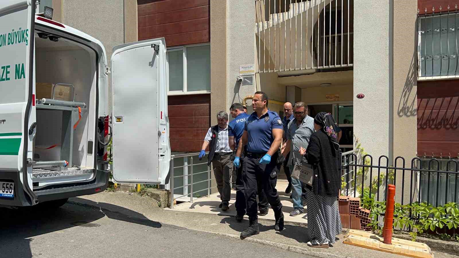 Giriş