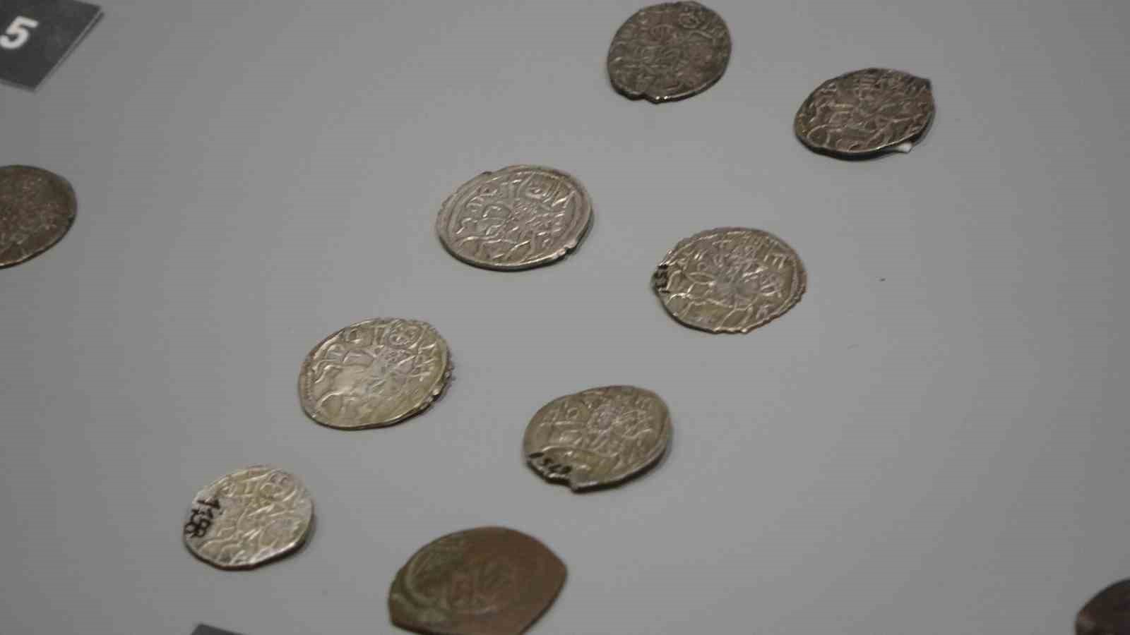 Uzmanlar ve Ziyaretçilerden Gelen Gelişmiş Bilgi ve Gözlemler
