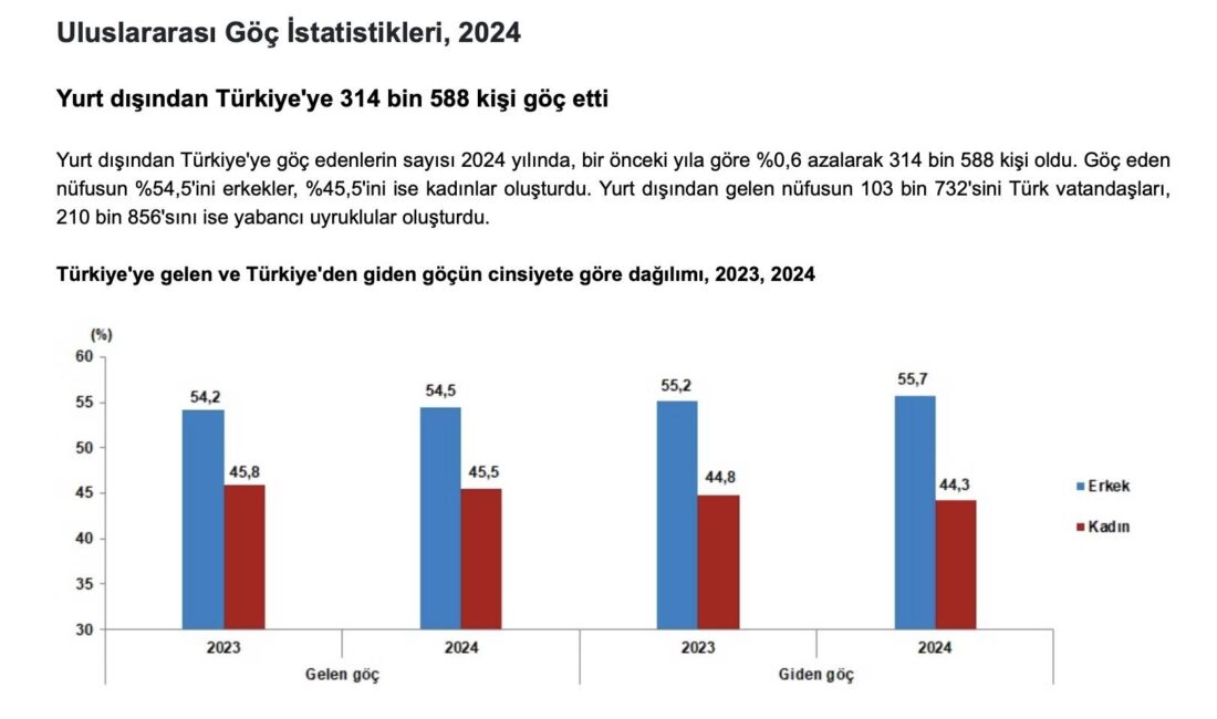 Türkiye'ye Yabancı Nüfus Göçünde Azerbaycanlılar İlk Sırada. Türkiye'ye göç eden
