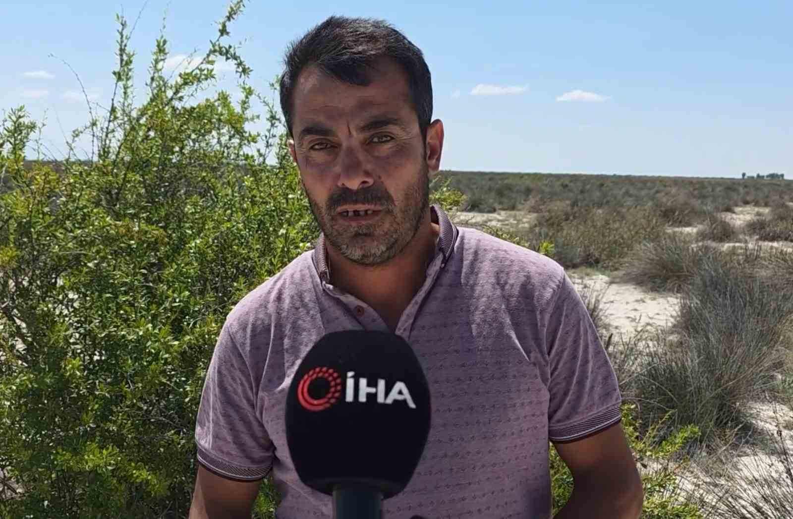 Tuz Gölü'nde Flamingoların Kuluçka ve Ölüm Olayları