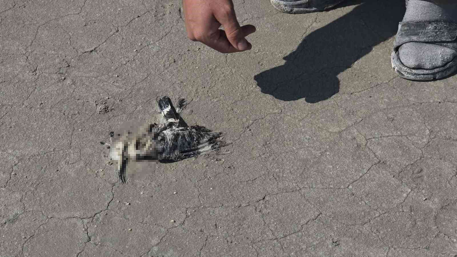 Uzman Görüşleri ve Çözüm Önerileri