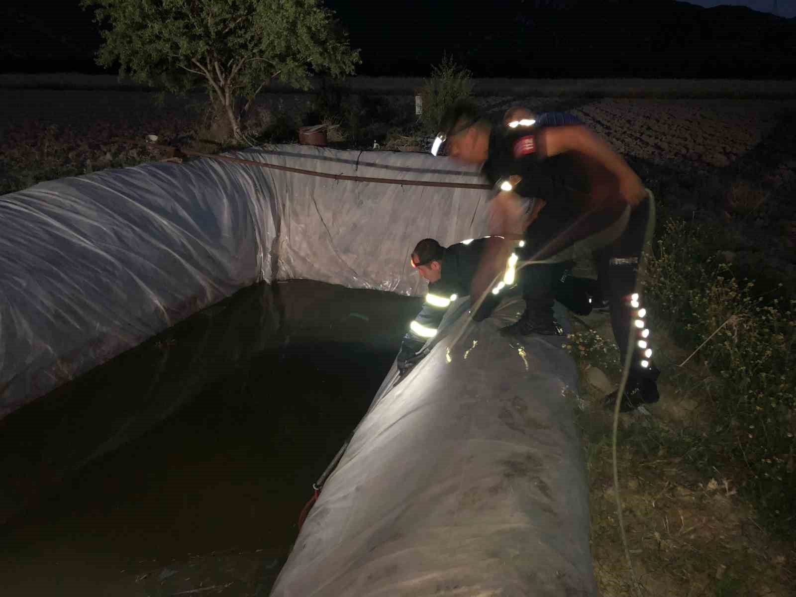 Olayın Detayları ve Gelişimi