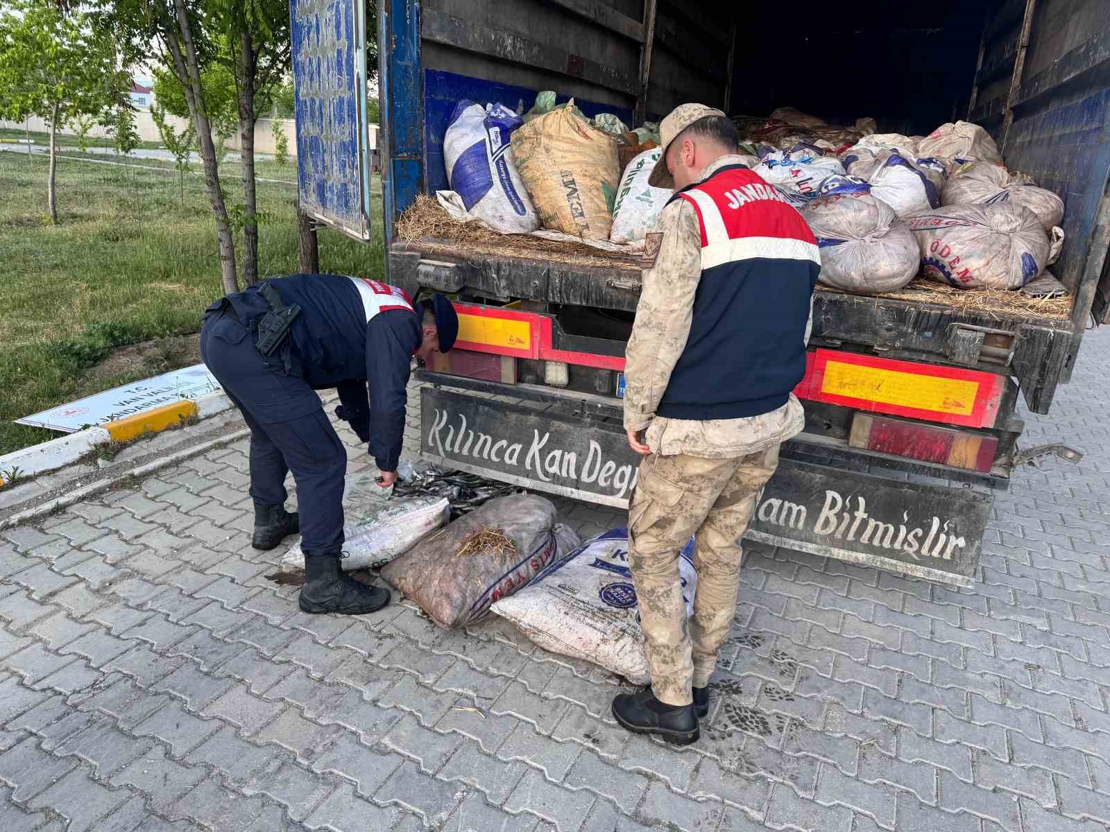Van’ın Muradiye ilçesinde jandarma ekiplerince yürütülen çalışmalar sırasında kaçak avlanmış