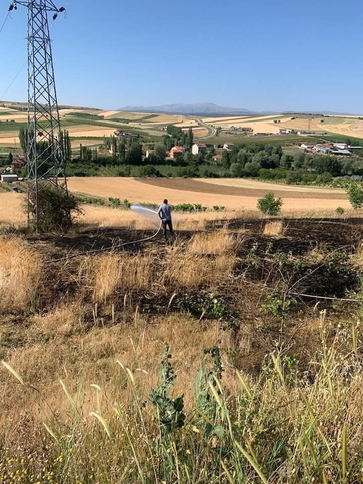 Müdahale ve Çevresel Etkiler