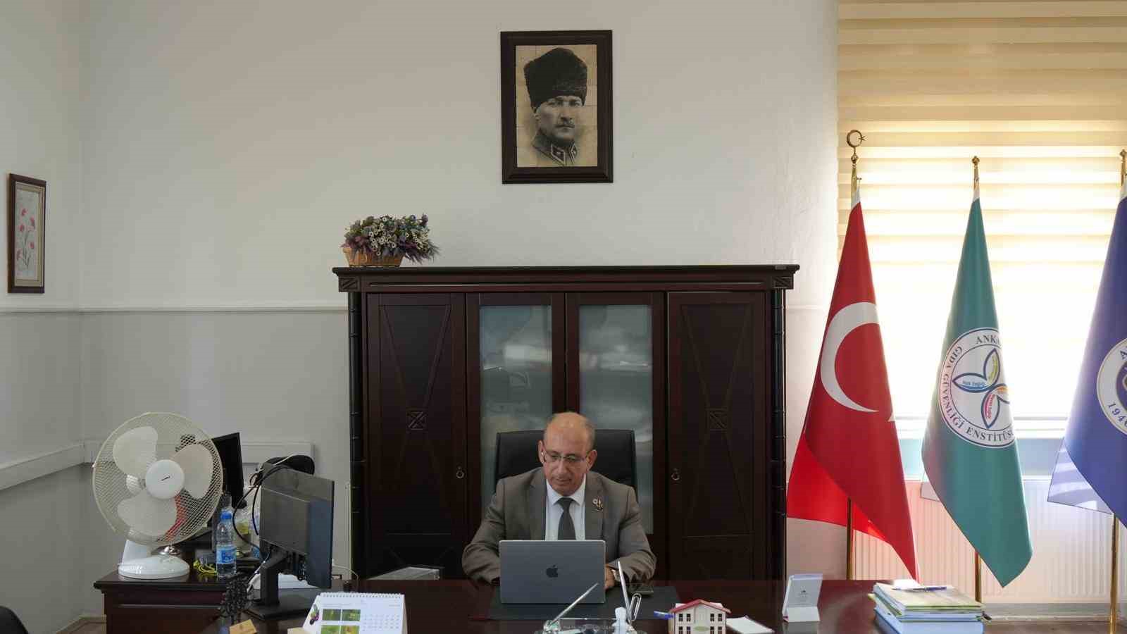 Taşınma Dönemleri ve Uygun Zamanlama