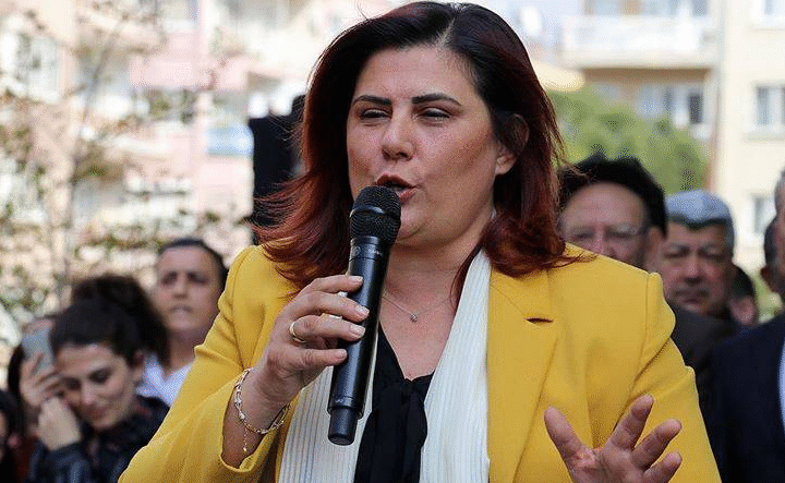 Aydin Buyuksehir Belediye Baskani Ozlem Cercioglu1