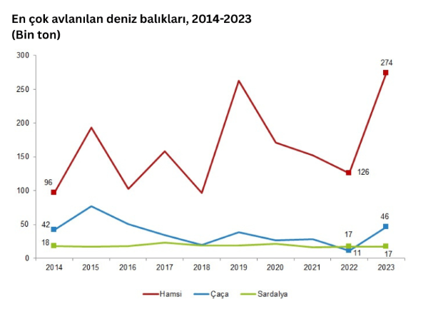 En cok avlanilan deniz baliklari 2014 2023 Bin ton