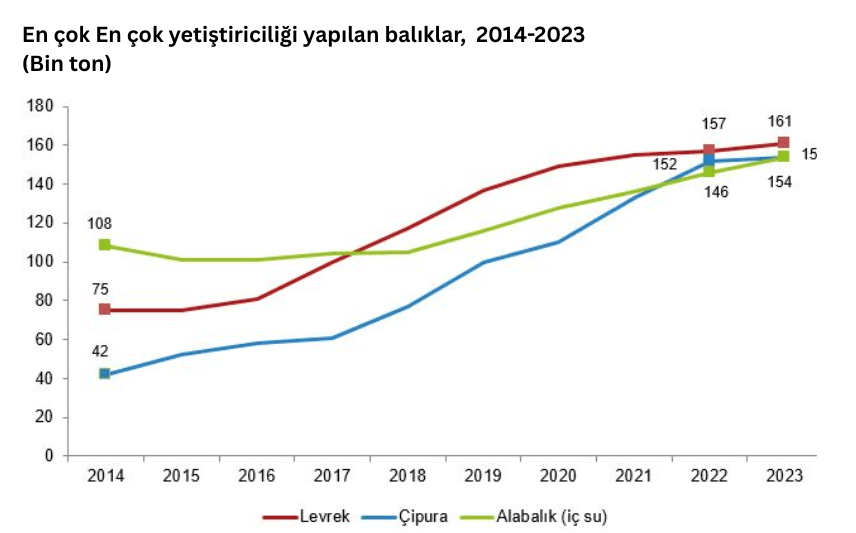 En cok yetistiriciligi yapilan baliklar 2014 2023 Bin ton